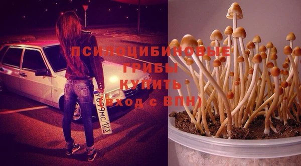 мескалин Аркадак