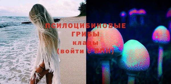 индика Армянск