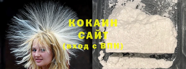 индика Армянск