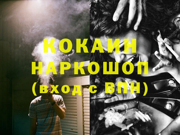 индика Армянск