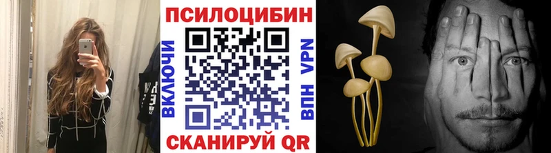 сколько стоит  Нововоронеж  Галлюциногенные грибы MAGIC MUSHROOMS 